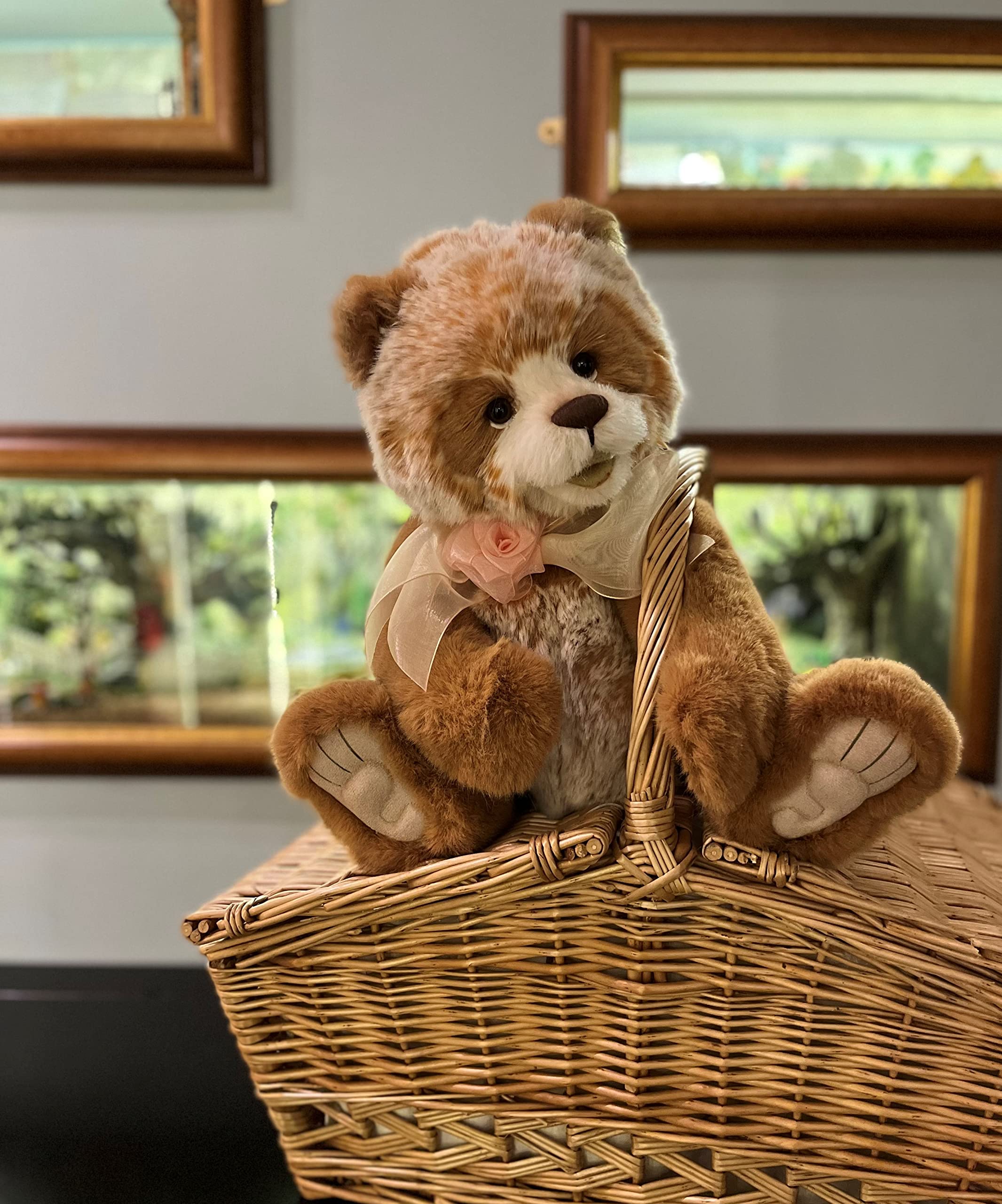 Teddy Bear テディベア Charlie bearsチャーリーベアーズ Amazon.co.jp: Charlie Bears 2022 - アインシュタイン | プルモ